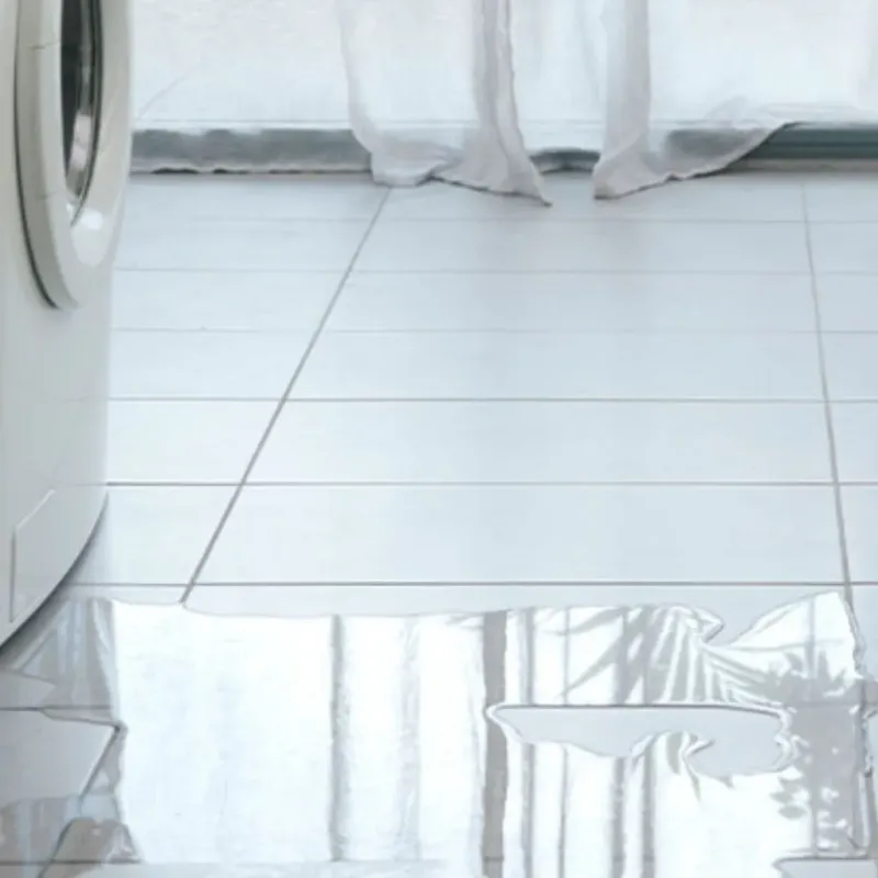 Appliance Leak Cleanup in Rose Lodge, OR