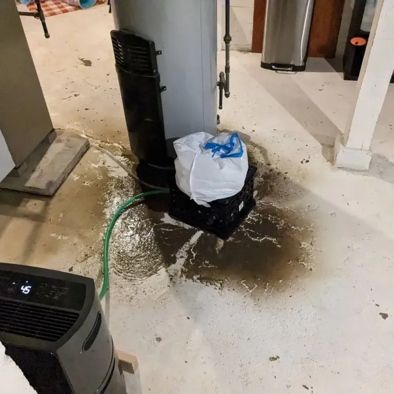 Sewage Backup Cleanup Service in Rose Lodge, OR